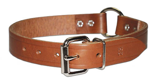 Leather Brothers Ring in Center Leather Collar 1 in. x 21 in