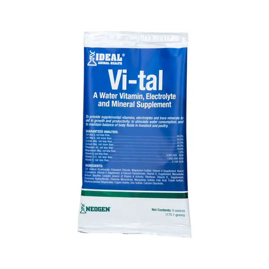 Vi-tal Electrolyte and Mineral Supplement