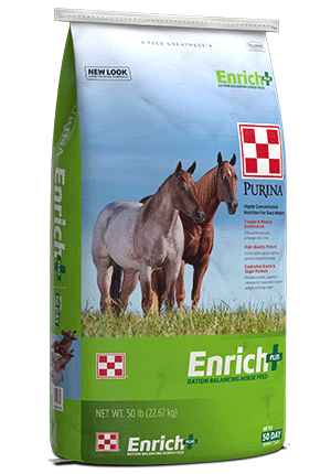 Horse Feeds