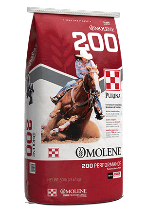 Horse Feeds