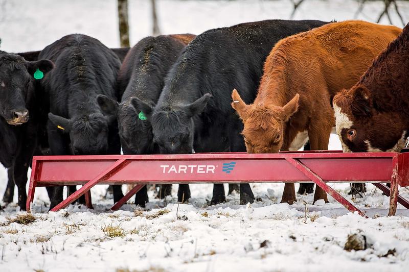 Tarter 10' Metal Bunk