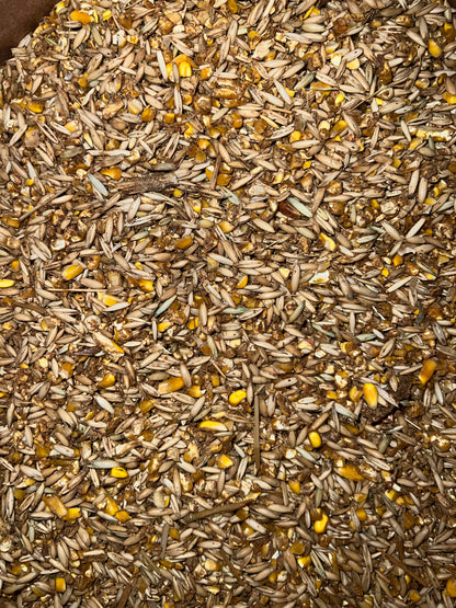 Horse Feeds