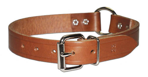 OmniPet Leather Dog Collars