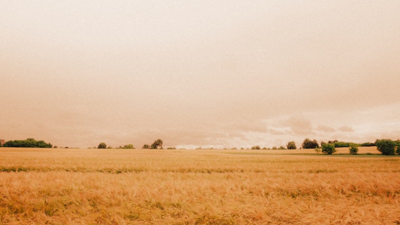 Why We Keep Asking Questions: The Story Behind Our Podcast + YouTube Channel