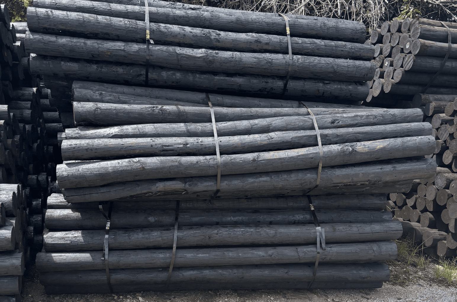 Why We Stand Behind Creosote Fence Posts