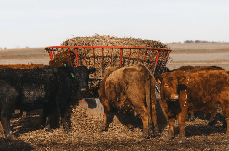 Building Strong Bales and Strong Relationships: A Conversation with Anthony Jones of Jones Twine & Net Wrap