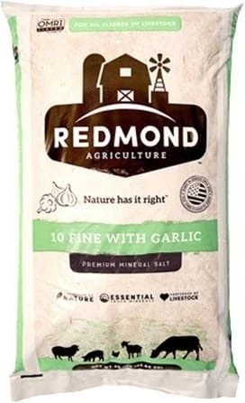 SALT REDMOND 10 w/GARLIC