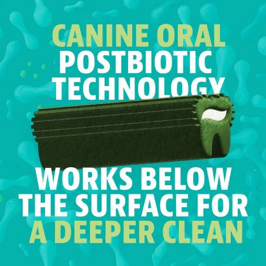 DINOVITE K9 DENTAL CHEW TINY 20CT