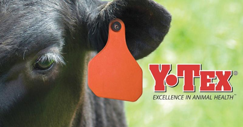 Y-TAG Calf Pink Blank