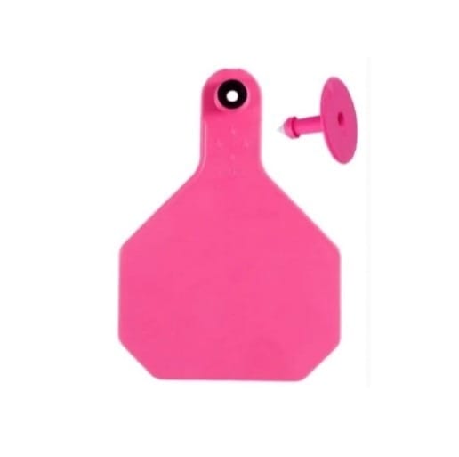 YTEX 4* 1-25 Hot Pink
