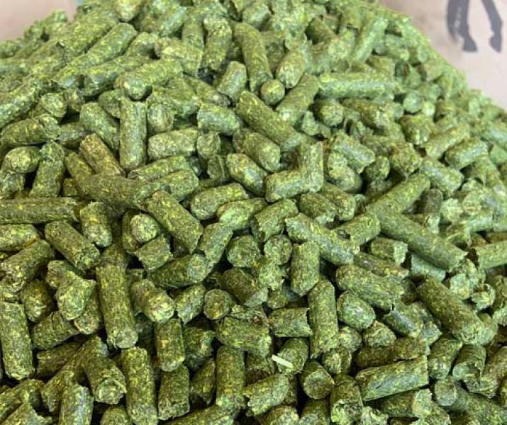 Alfalfa Pellets 17% Bag