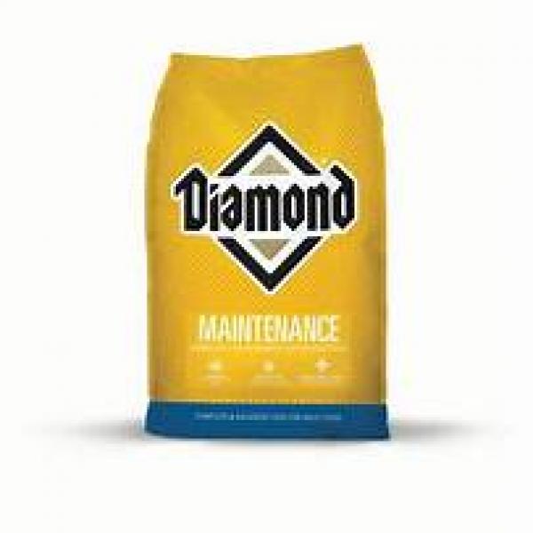 DOG DIAMOND Maint Yellow