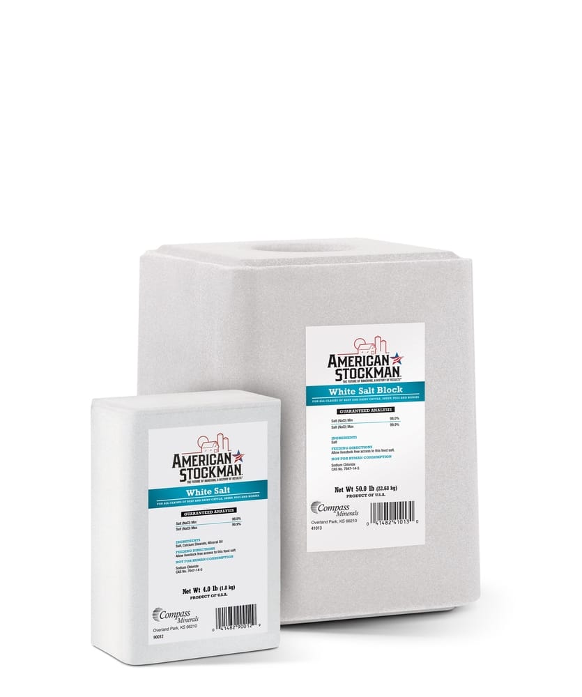 SALT BLOCK-WHITE 50#