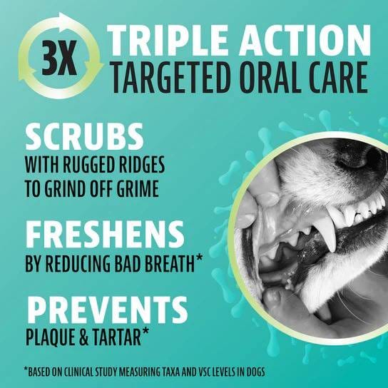 DINOVITE K9 DENTAL CHEW LARGE 4CT