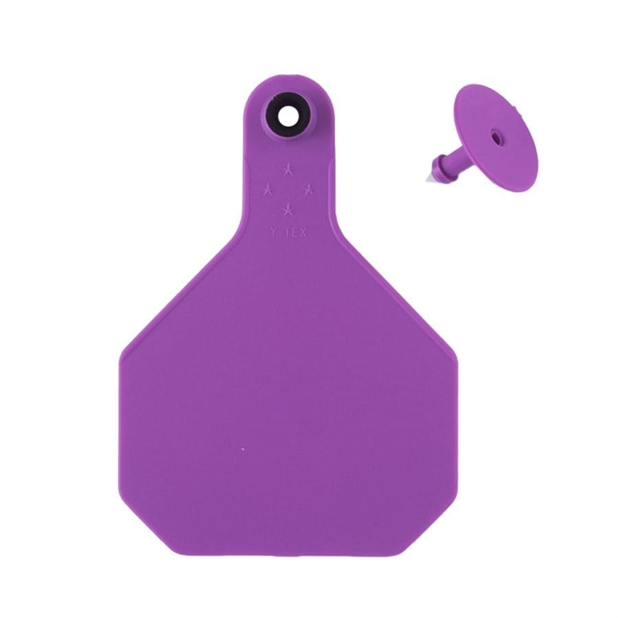 YTEX 3* Tag 126-150 Purple