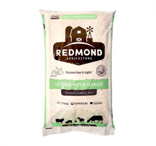 SALT REDMOND 10 w/GARLIC