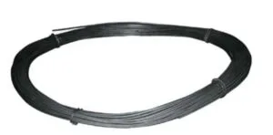 10lb-black-1