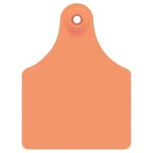 Allflex-Orange