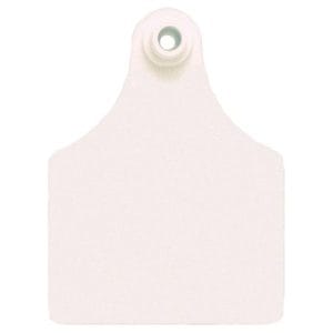 Allflex-White-3