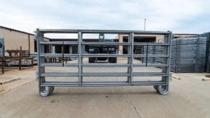 CP-10-ft-1