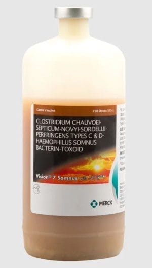 Vision-7-Sommus-1