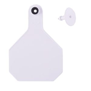 Ytex-White-12