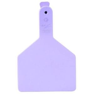 Ztag-Purple
